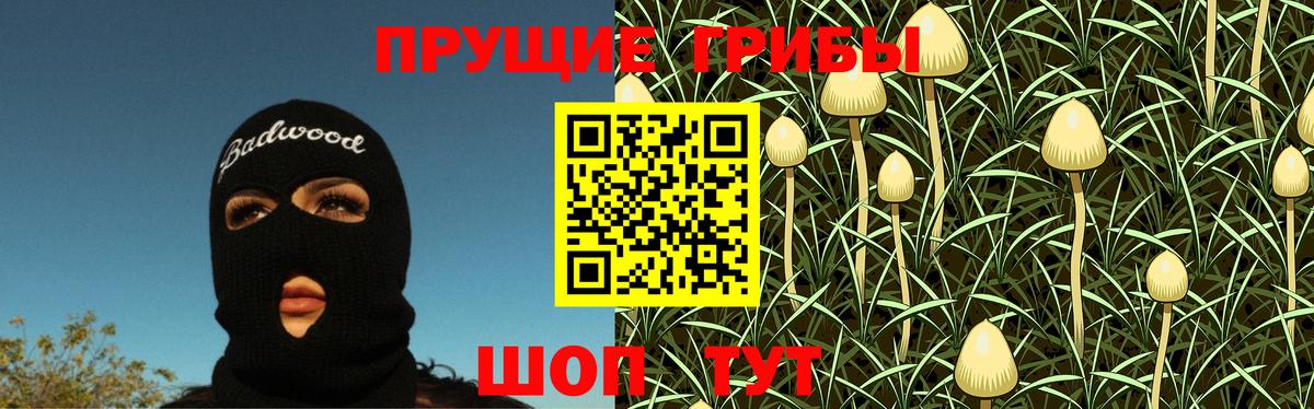 Псилоцибиновые грибы Psilocybe Чайковский