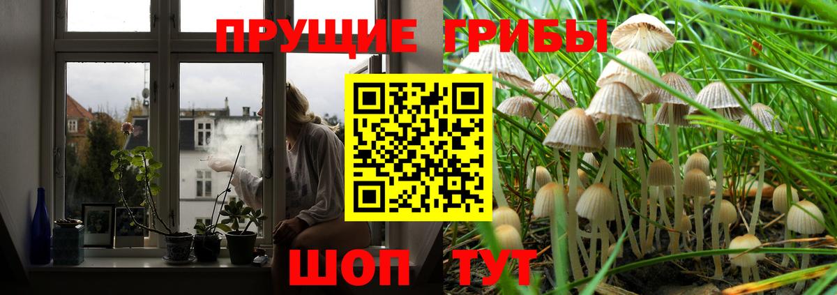 Чайковский  Галлюциногенные грибы Psilocybe  где продают наркотики  Вход с VPN  Галлюциногенные грибы мухоморы 
